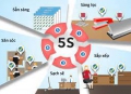 Nhận diện những rào cản khiến doanh nghiệp Việt Nam thất bại trong áp dụng 5S
