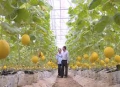 Nguyên nhân khiến nông dân chưa thực sự mặn mà với nông nghiệp hữu cơ
