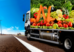 Thực trạng nông nghiệp hữu cơ ở Việt Nam và một số giải pháp