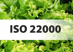 Hệ thống tiêu chuẩn ISO 22000:2018: Cách tiếp cận dựa trên rủi ro
