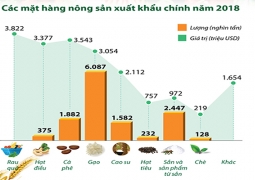 “Xây chuỗi” xuất khẩu nông sản Việt