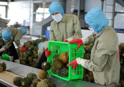 EVFTA thách thức nông sản Việt