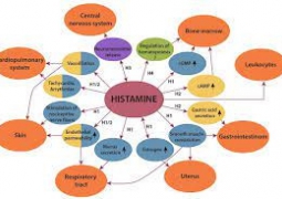 Histamin gây dị ứng có trong thực phẩm nào