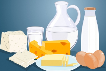 Bản chất quá trình đông tụ protein trong sản xuất Sữa chua và Phomat